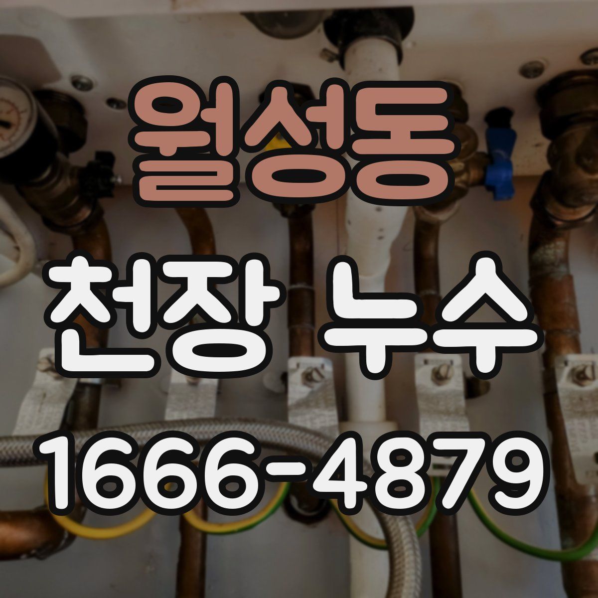 월성동 천장 누수