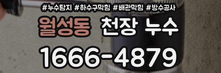 월성동 천장 누수