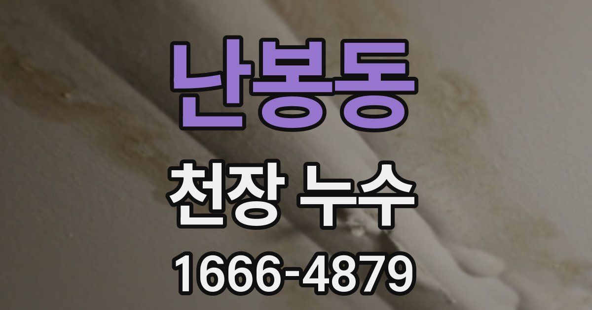 난봉동 천장 누수