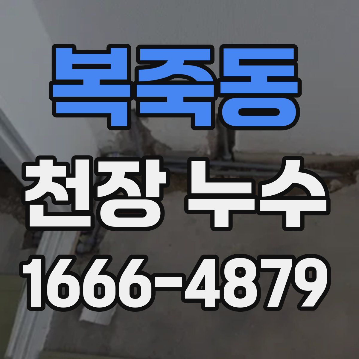 복죽동 천장 누수