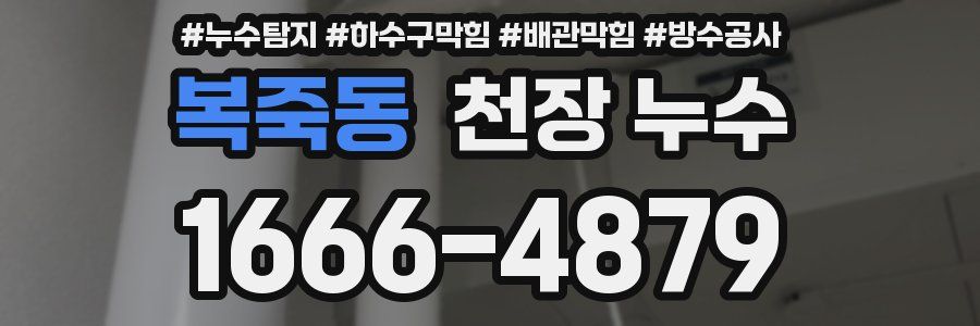 복죽동 천장 누수
