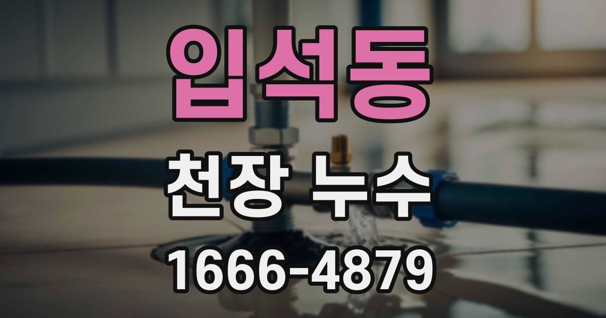 입석동 천장 누수