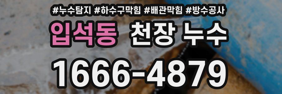 입석동 천장 누수