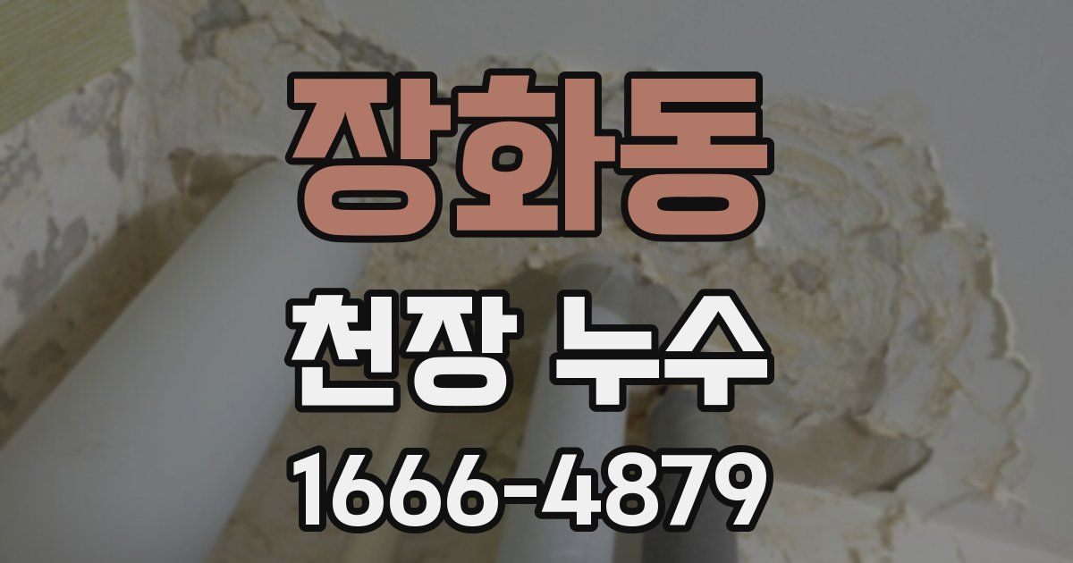 장화동 천장 누수