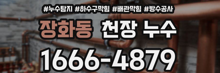 장화동 천장 누수