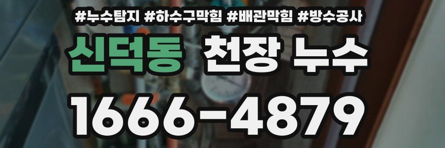신덕동 천장 누수