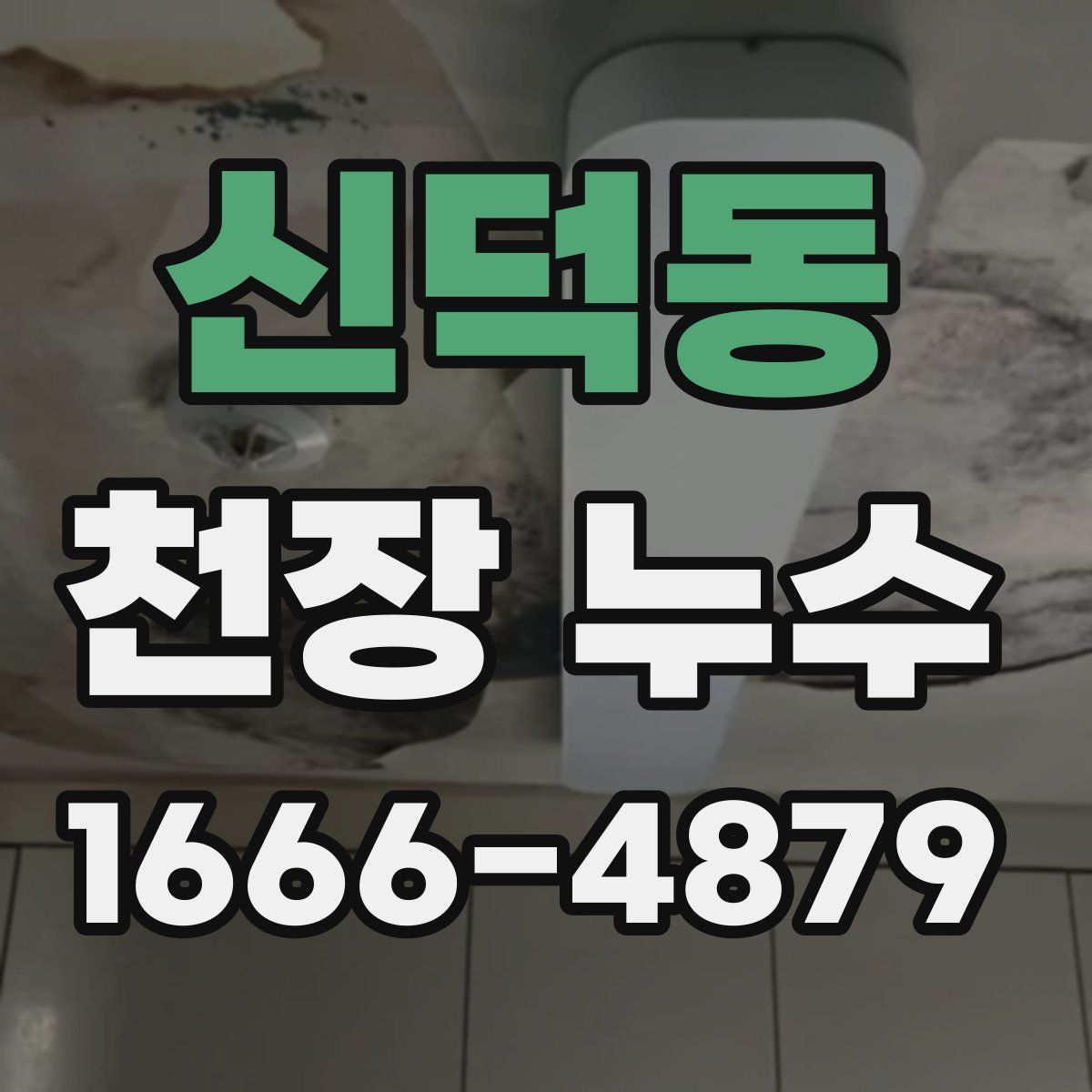 신덕동 천장 누수