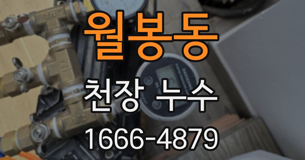 월봉동 천장 누수