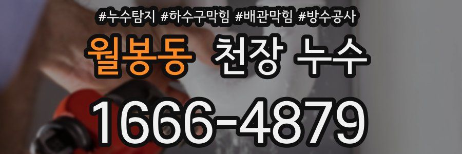 월봉동 천장 누수