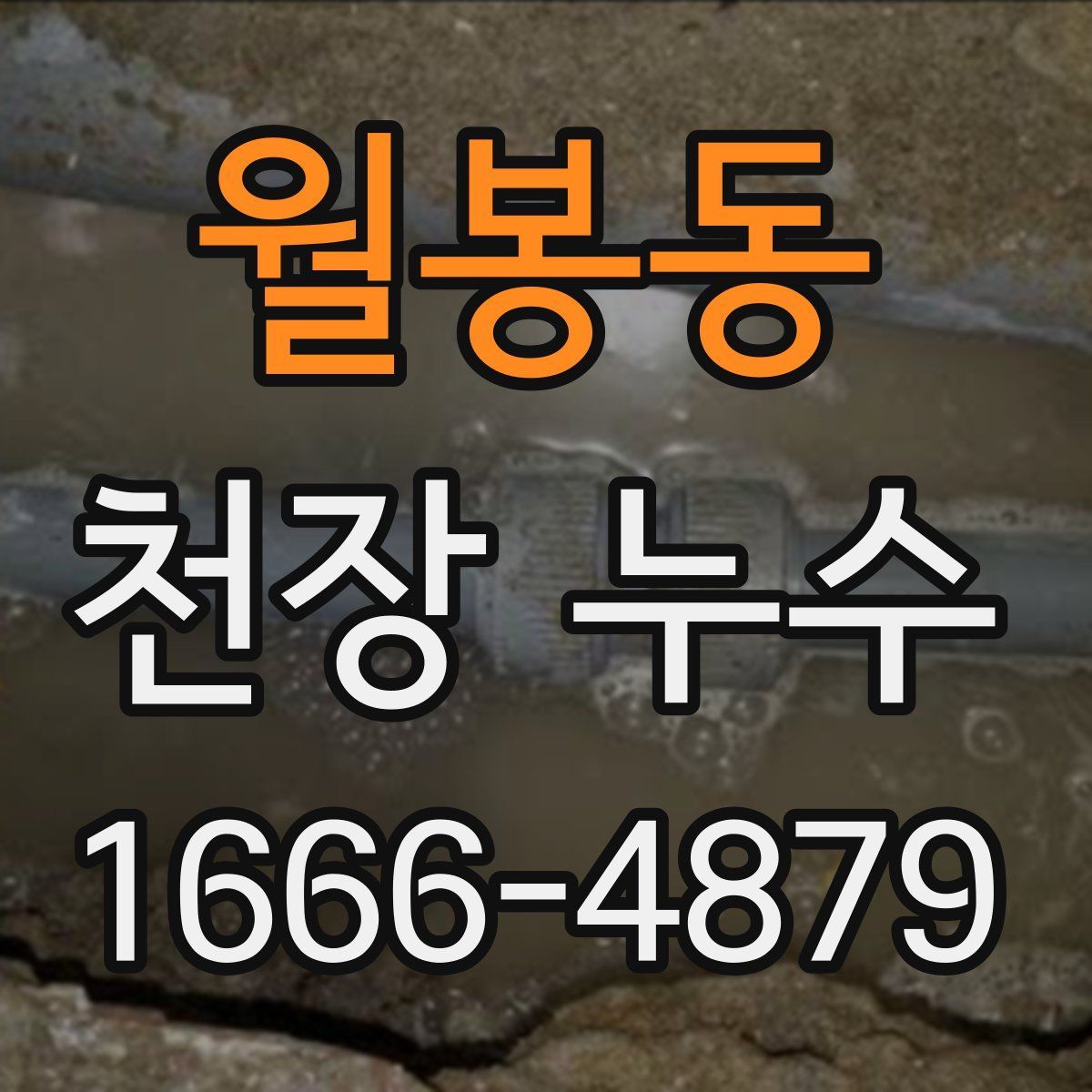 월봉동 천장 누수