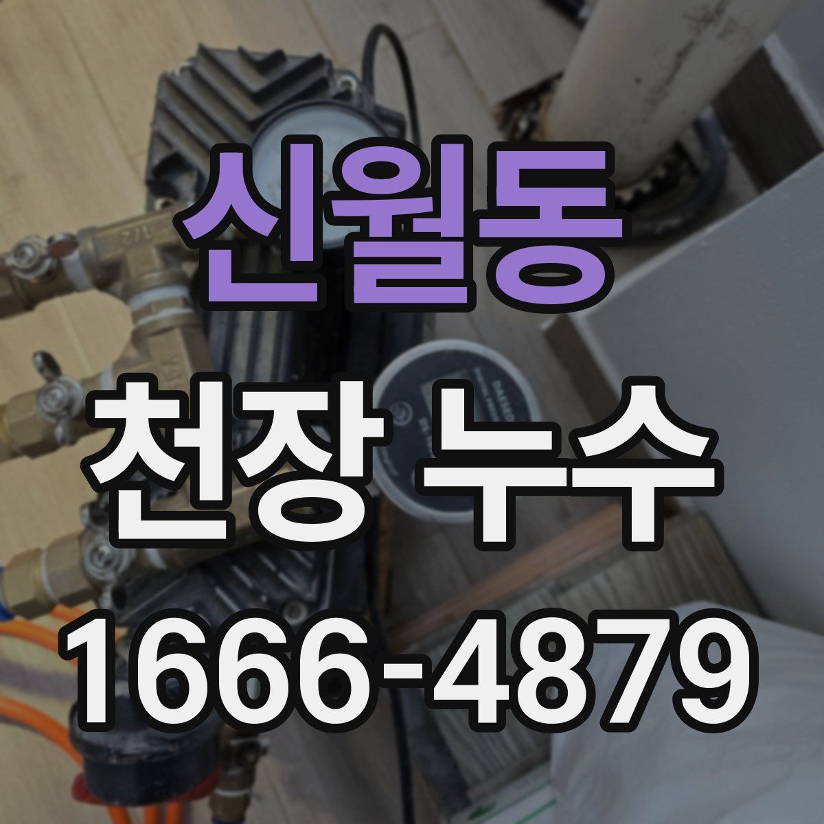 신월동 천장 누수
