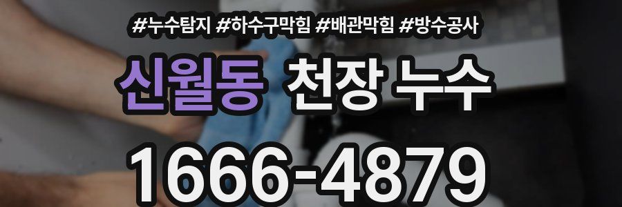 신월동 천장 누수