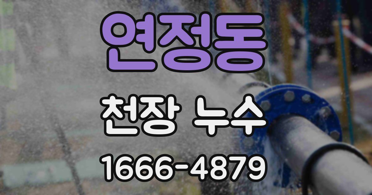연정동 천장 누수