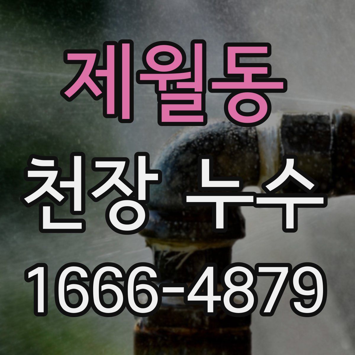 제월동 천장 누수
