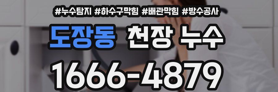도장동 천장 누수