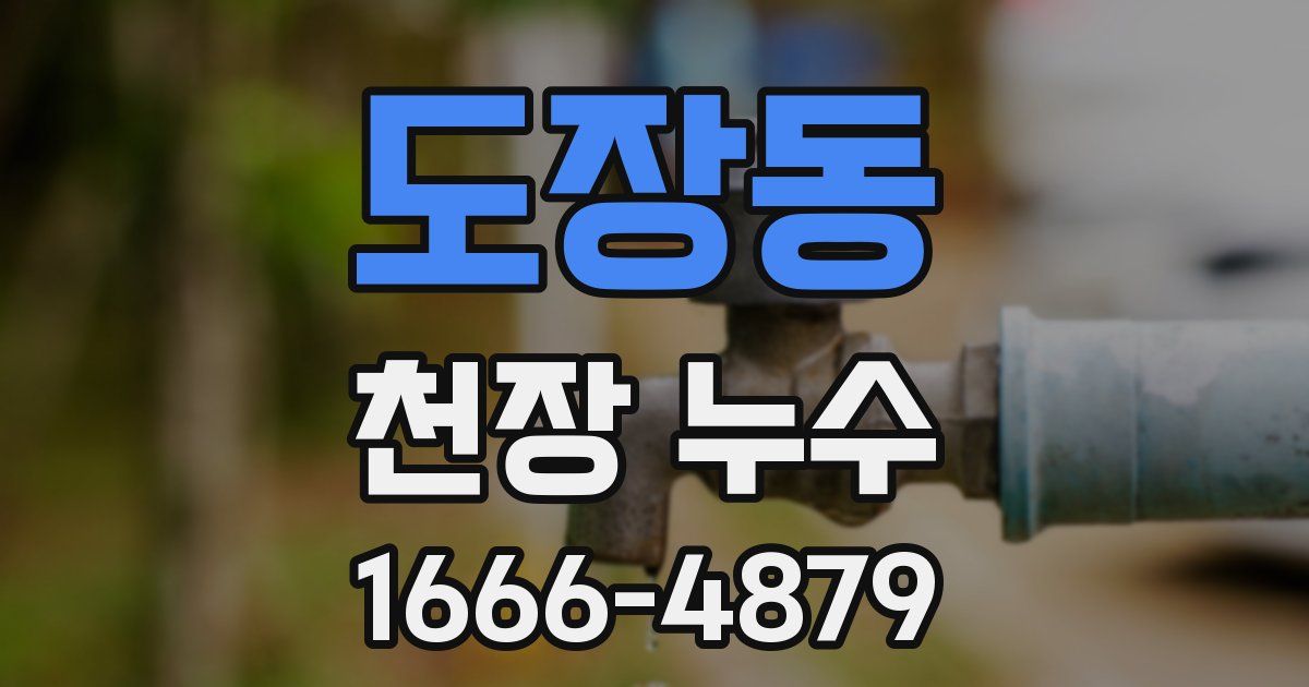 도장동 천장 누수