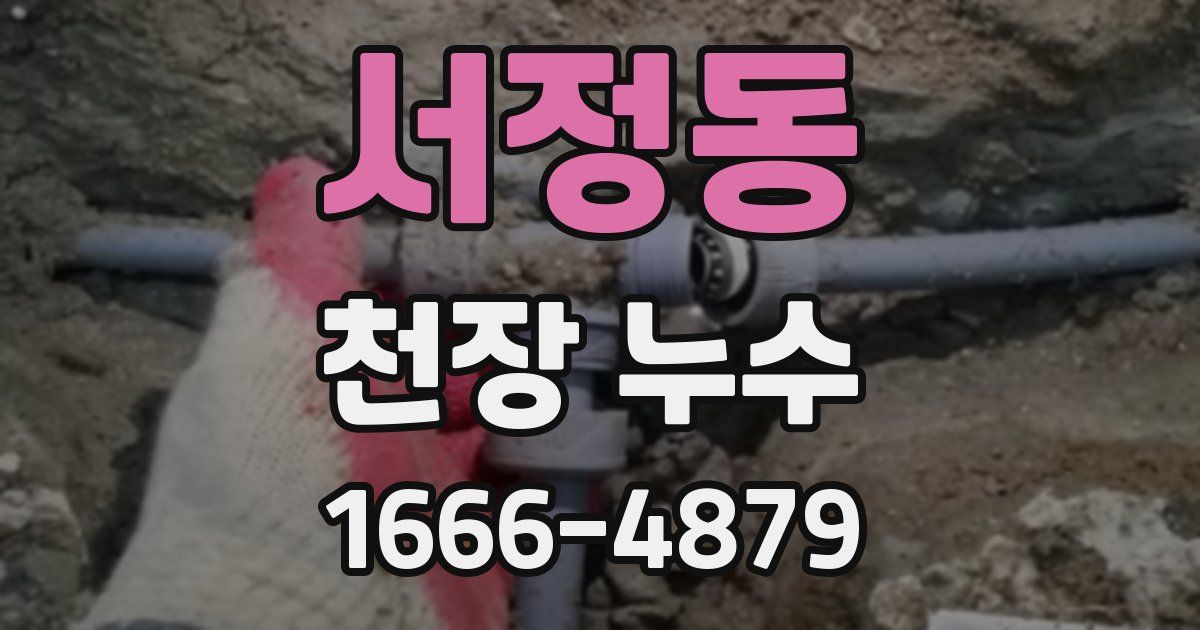 서정동 천장 누수