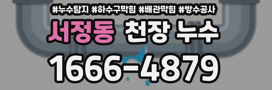서정동 천장 누수