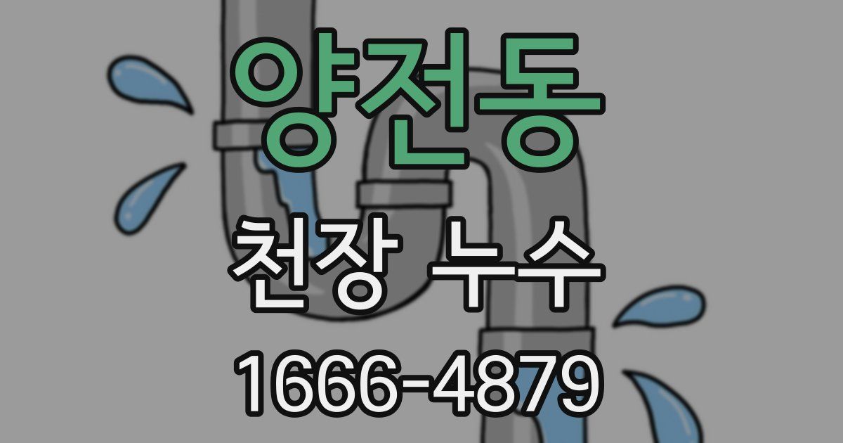 양전동 천장 누수