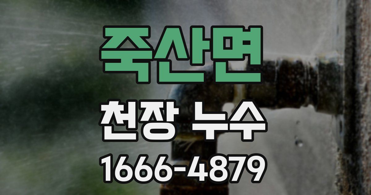 죽산면 천장 누수