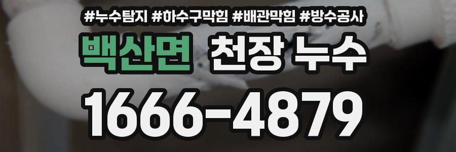 백산면 천장 누수