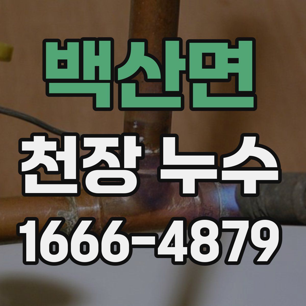 백산면 천장 누수