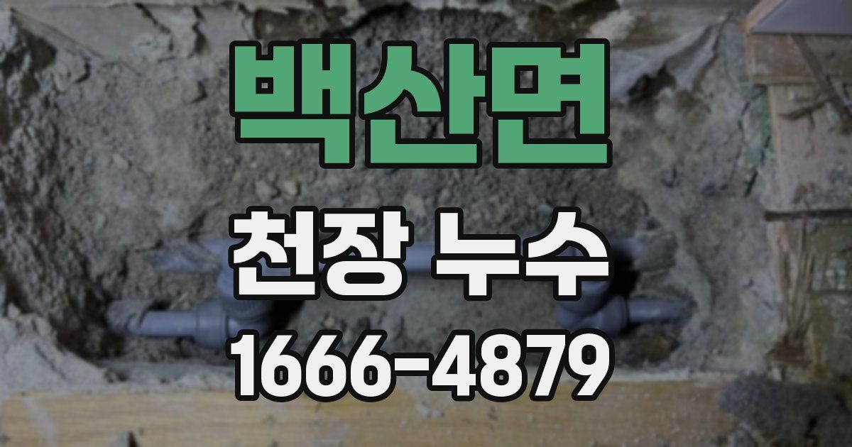 백산면 천장 누수