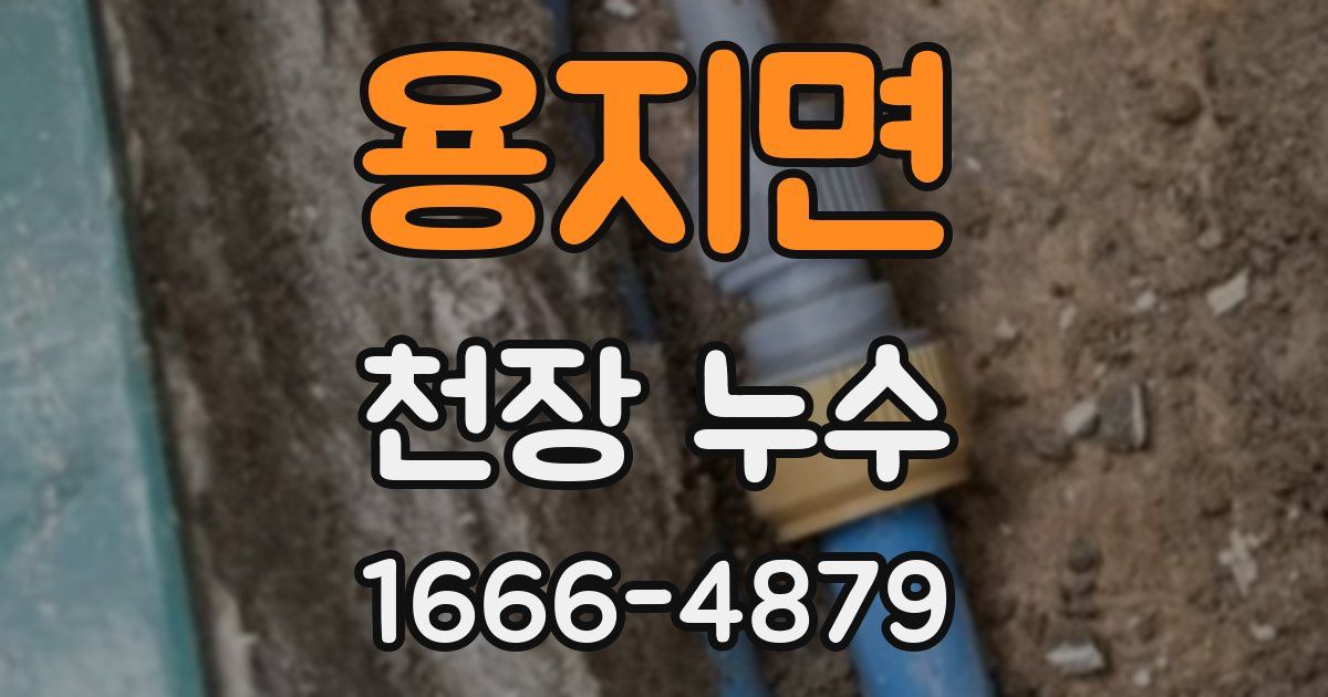 용지면 천장 누수