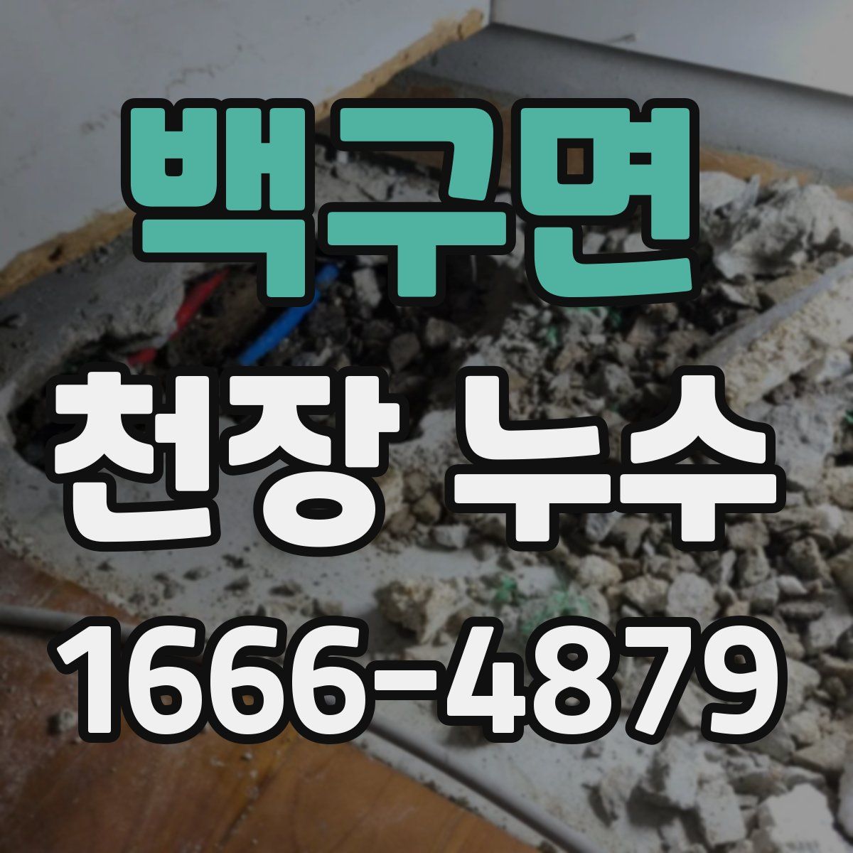 백구면 천장 누수