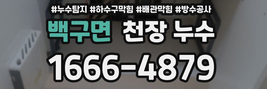 백구면 천장 누수
