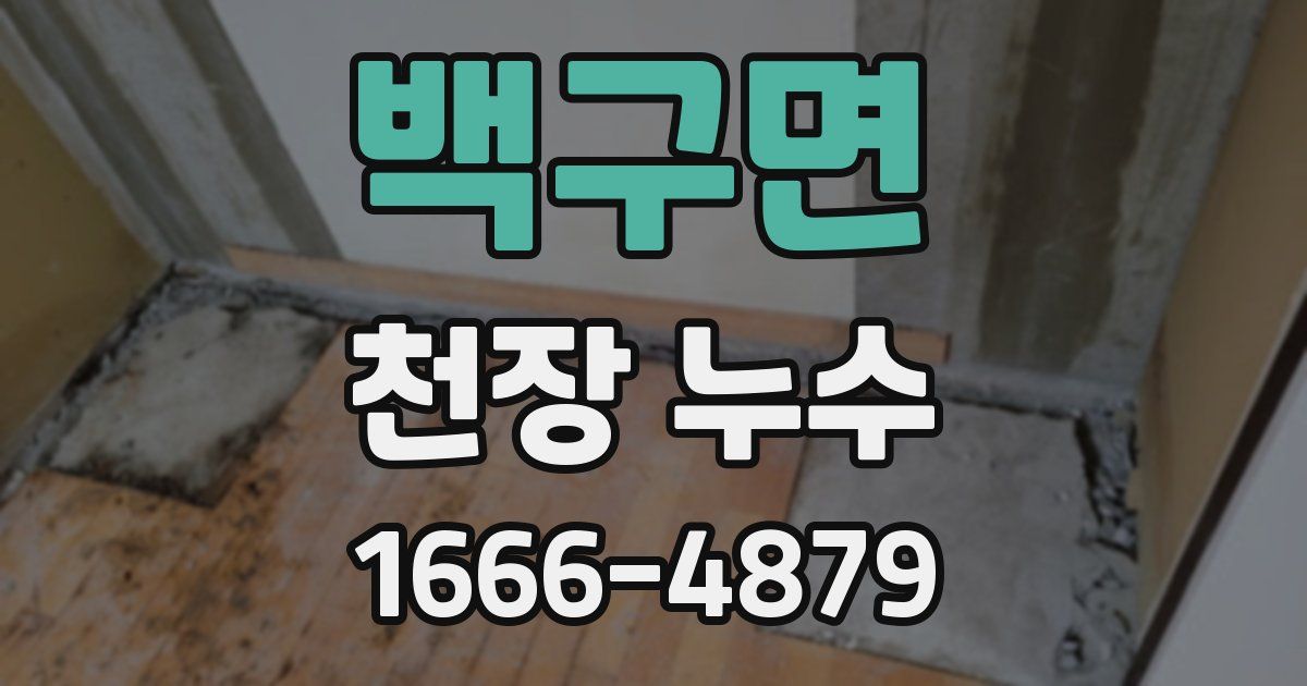 백구면 천장 누수