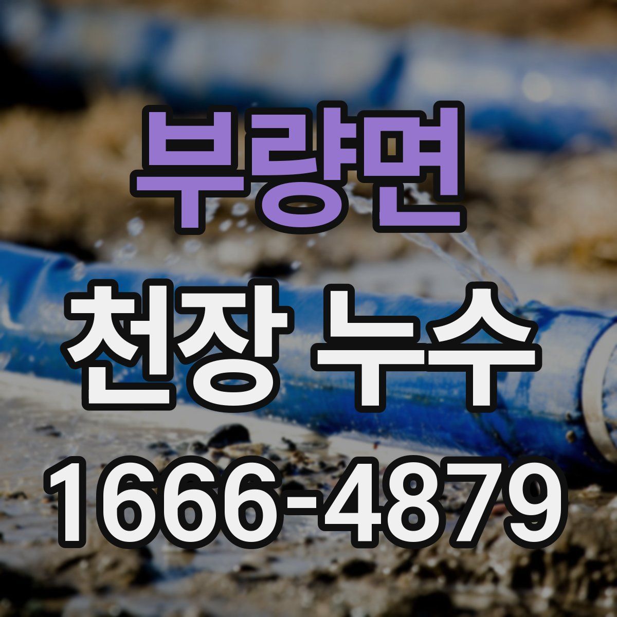 부량면 천장 누수