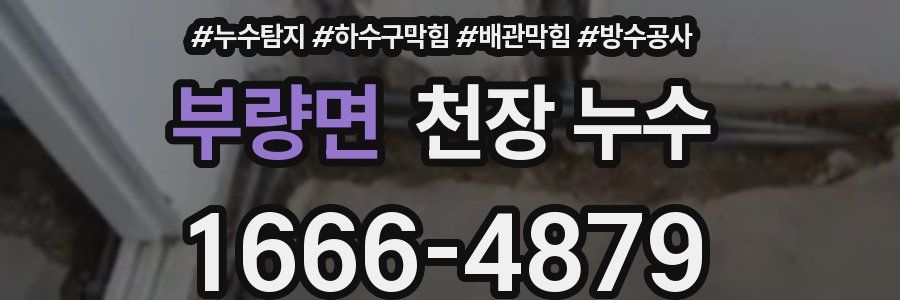 부량면 천장 누수