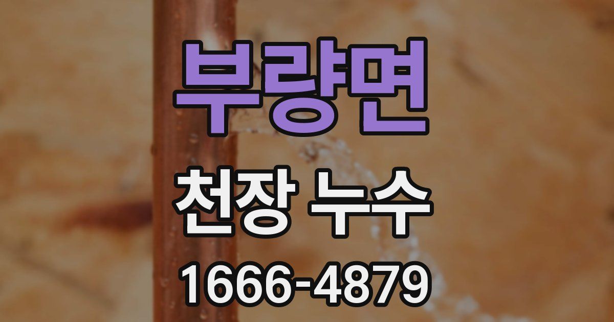 부량면 천장 누수