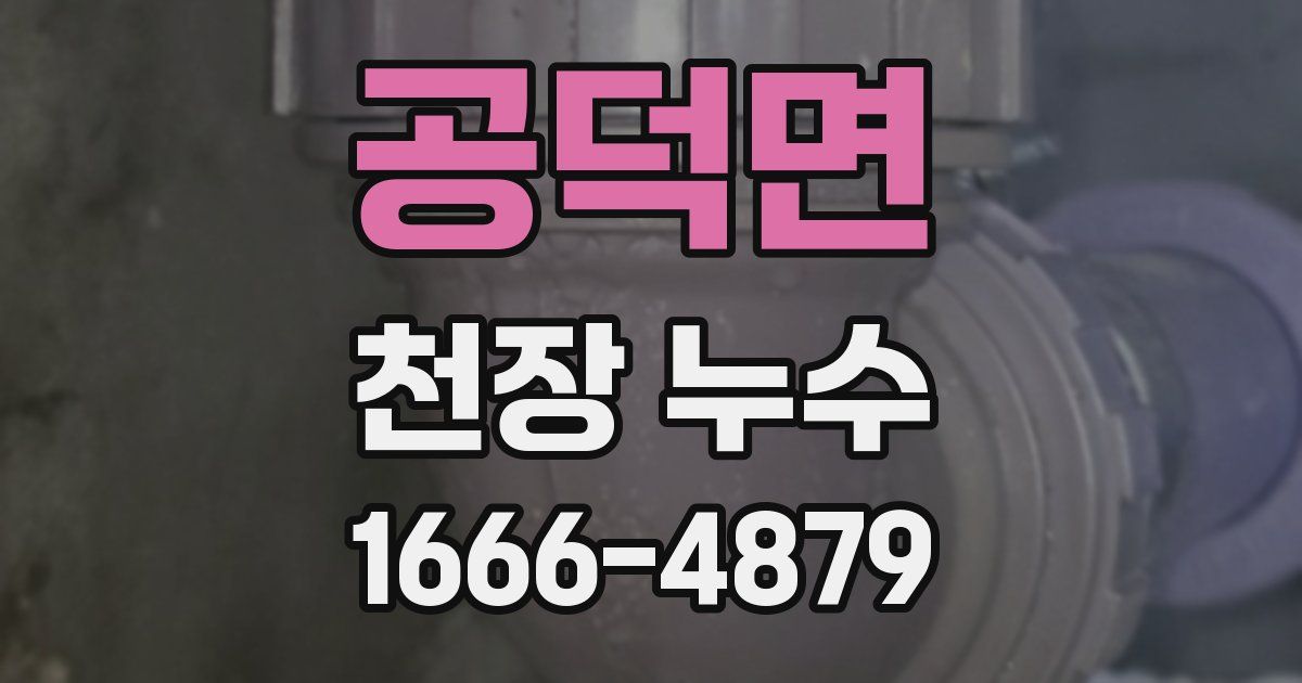 공덕면 천장 누수