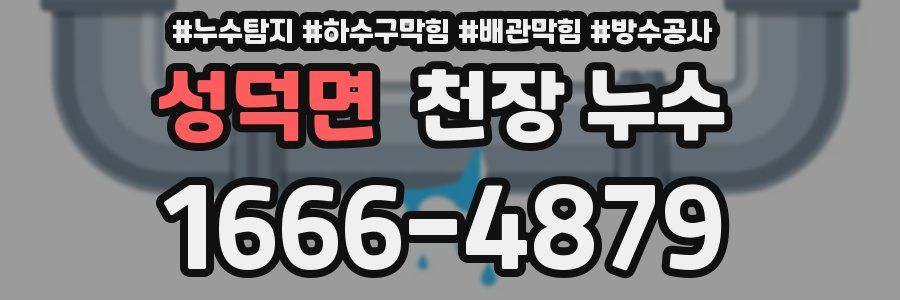 성덕면 천장 누수
