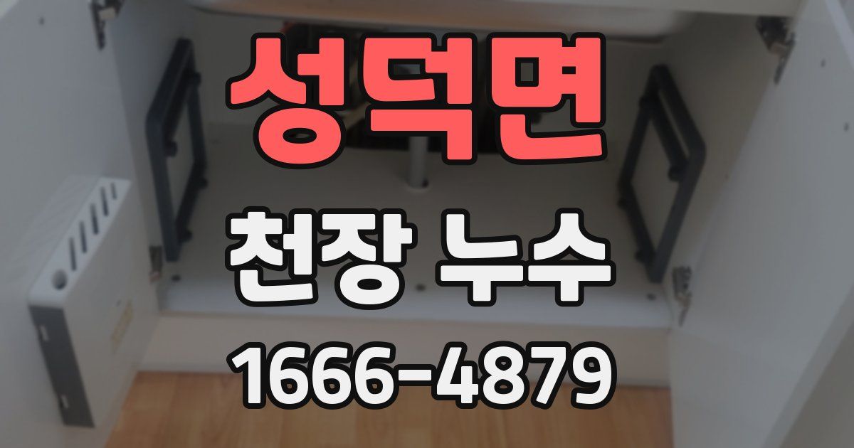 성덕면 천장 누수
