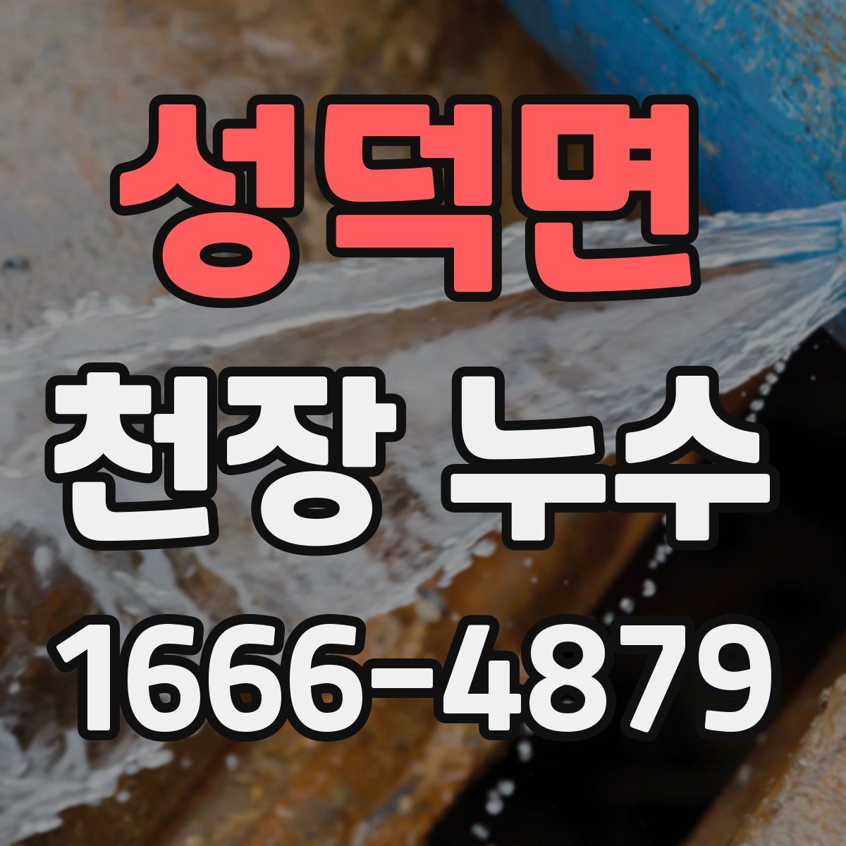 성덕면 천장 누수