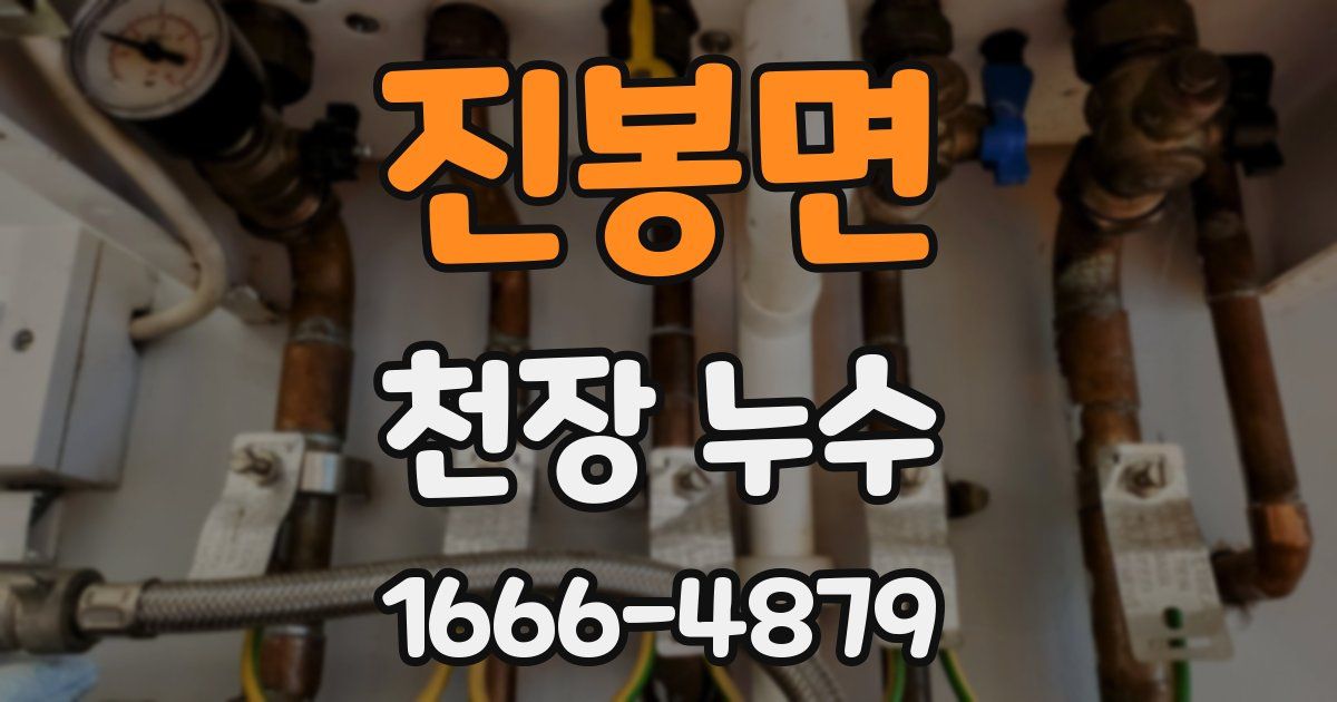진봉면 천장 누수