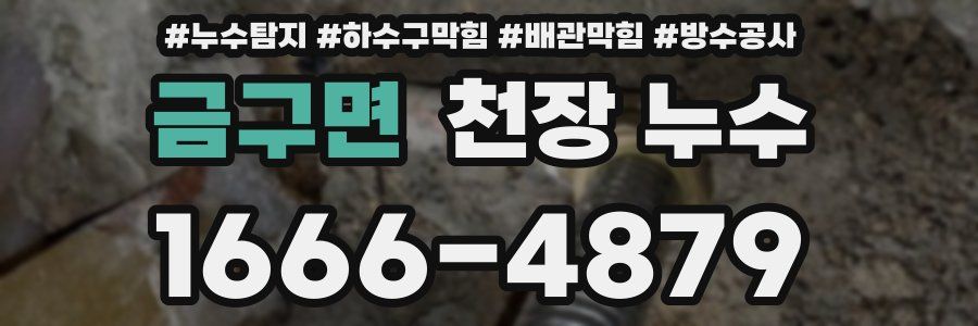 금구면 천장 누수