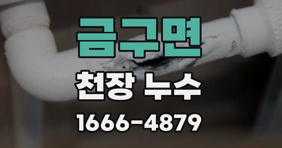 금구면 천장 누수