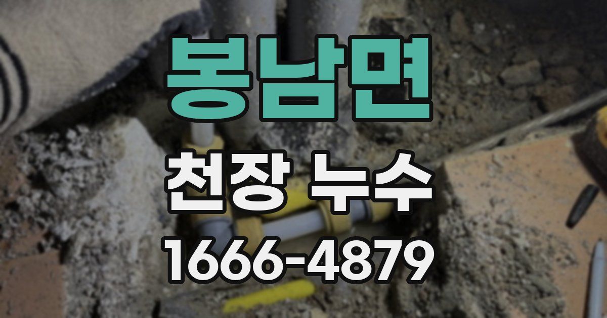 봉남면 천장 누수