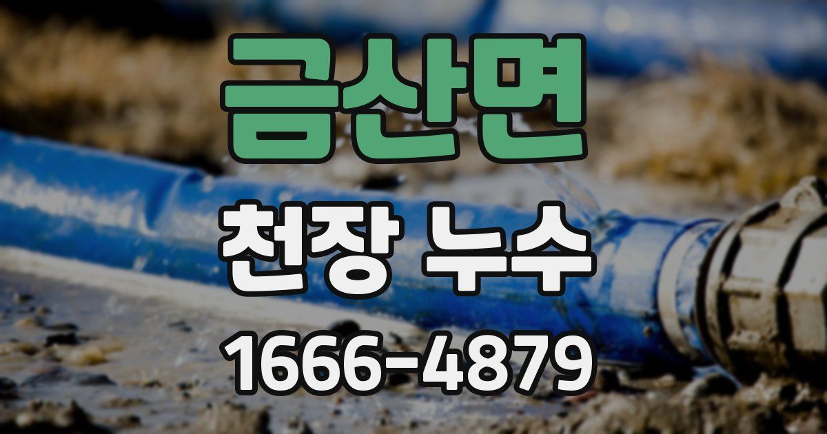금산면 천장 누수