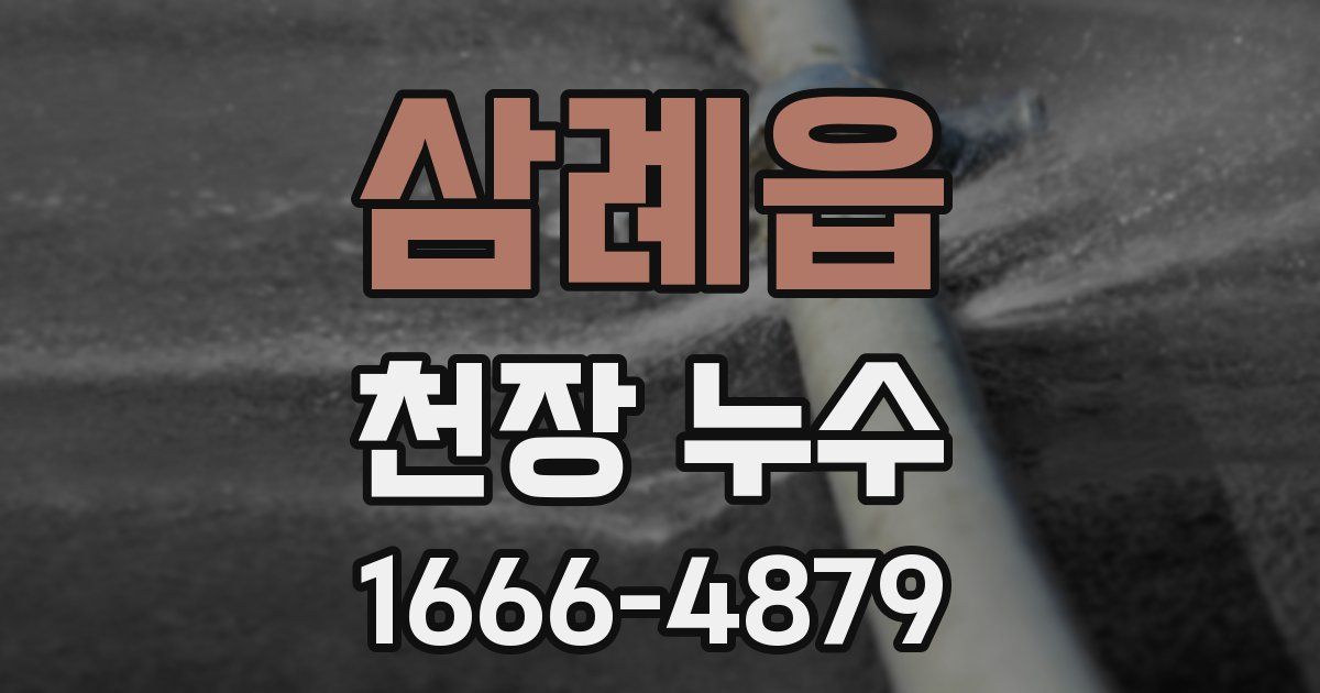 삼례읍 천장 누수