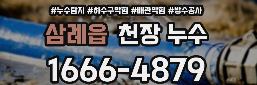 삼례읍 천장 누수