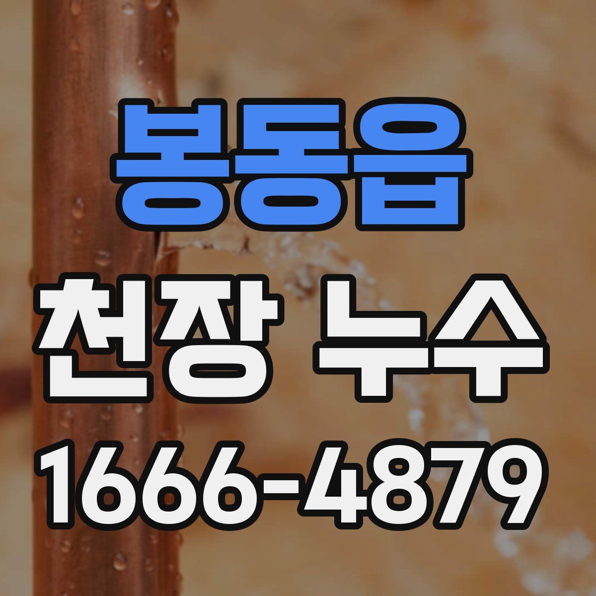 봉동읍 천장 누수