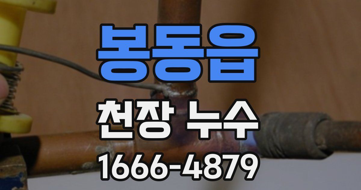 봉동읍 천장 누수