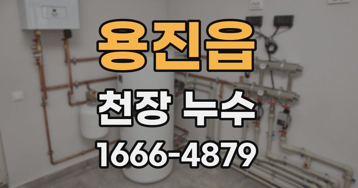용진읍 천장 누수