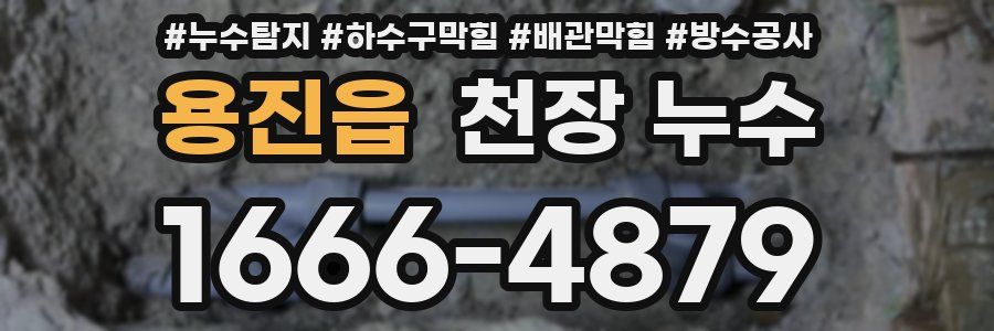 용진읍 천장 누수