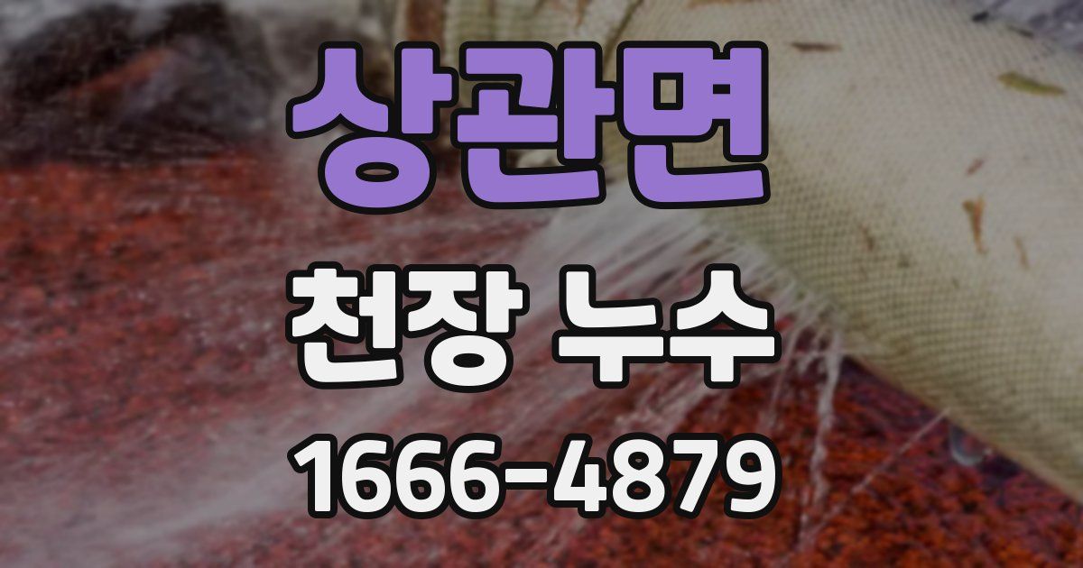 상관면 천장 누수